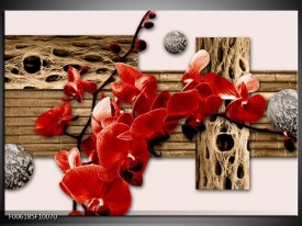 Foto canvas schilderij Orchidee | Rood, Bruin, Creme