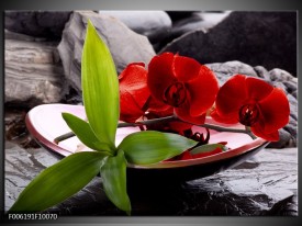 Glas schilderij Orchidee | Rood, Groen, Grijs