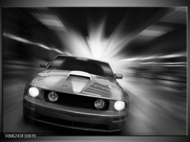 Foto canvas schilderij Mustang | Zwart, Grijs