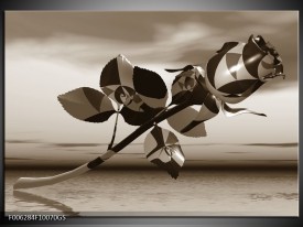 Glas Schilderij Bloem, Roos | Sepia