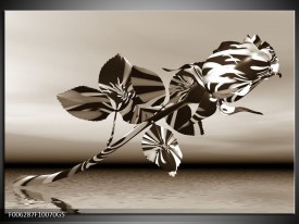 Glas Schilderij Bloem, Roos | Sepia