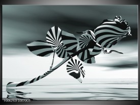 Glas Schilderij Bloem, Roos | Grijs