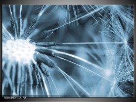 Canvas Schilderij Bloem | Blauw