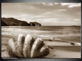 Glas Schilderij Schelp, Strand | Sepia