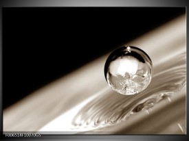 Glas Schilderij Macro | Sepia, Zwart