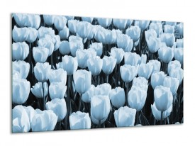 Canvas Schilderij Bloem, Tulpen | Blauw | 120x70cm 1Luik