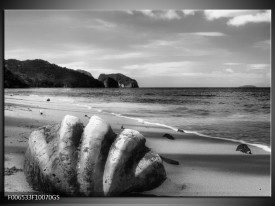 Glas Schilderij Schelp, Strand | Zwart, Grijs