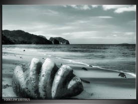 Glas Schilderij Schelp, Strand | Grijs, Groen