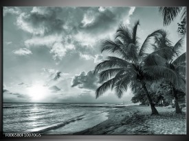 Glas Schilderij Zee, Strand | Grijs, Zwart, Groen