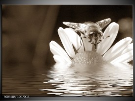 Glas Schilderij Bloem | Sepia, Bruin