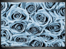 Glas Schilderij Bloemen, Roos | Blauw, Grijs