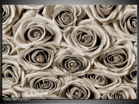 Glas Schilderij Bloemen, Roos | sepia