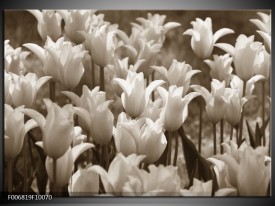 Canvas Schilderij Tulpen, Bloemen | Sepia