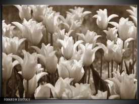 Glas Schilderij Tulpen, Bloemen | Sepia