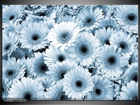 Canvas Schilderij Gerbera, Bloemen | Blauw, Grijs