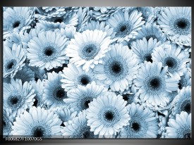 Glas Schilderij Gerbera, Bloemen | Blauw, Grijs
