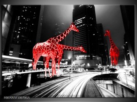 Glas Schilderij Steden, Giraffe | Zwart, Wit, Rood