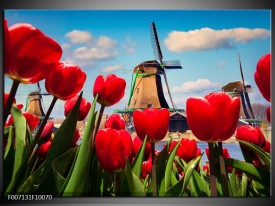 Canvas Schilderij Tulpen, Molen | Rood, Blauw, Grijs