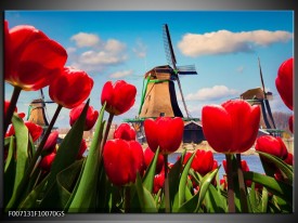 Glas Schilderij Tulpen, Molen | Rood, Blauw, Grijs