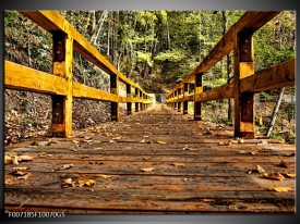 Glas Schilderij Brug, Natuur | Bruin, Geel, Groen