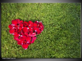 Canvas Schilderij Bloem, Gras | Rood, Groen, Roze