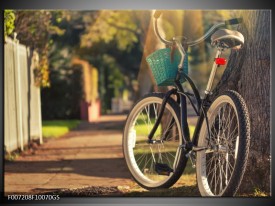 Glas Schilderij Fiets, Natuur | Grijs, Geel, Bruin