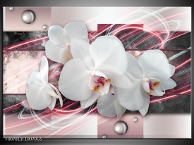 Glas Schilderij Orchidee, Bloemen | Roze, Grijs, Wit