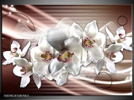 Glas Schilderij Orchidee, Bloemen | Grijs, Bruin