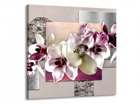Canvas Schilderij Orchidee, Bloemen | Paars, Grijs | 70x70cm 1Luik