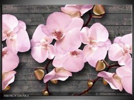 Glas Schilderij Orchidee, Bloemen | Grijs, Roze