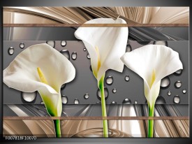 Canvas Schilderij Bloemen, Modern | Grijs, Bruin