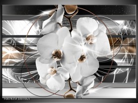Glas Schilderij Orchidee, Bloemen | Zilver, Wit