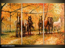 Acryl Schilderij Paard | Bruin, Oranje | 120x80cm 3Luik Handgeschilderd