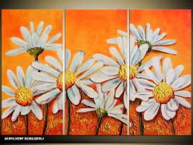 Acryl Schilderij Natuur | Oranje, Wit | 120x80cm 3Luik Handgeschilderd