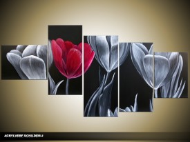 Acryl Schilderij Tulp | Zwart, Grijs, Roze | 160x70cm 5Luik Handgeschilderd