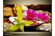 OP VOORRAAD Foto canvas schilderij Orchidee | Kleur: Paars, Groen, Bruin | F004817
