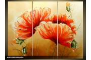 Acryl Schilderij Klaproos | Rood, Bruin | 120x80cm 3Luik Handgeschilderd