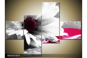 OP VOORRAAD Foto canvas schilderij Bloem | Kleur: Grijs, Wit, Roze | F002053