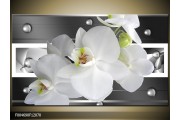 OP VOORRAAD Foto canvas schilderij Orchidee | Kleur: Grijs, Wit | F004690