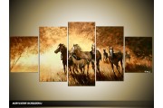 Acryl Schilderij Paarden | Bruin, Crème | 150x70cm 5Luik Handgeschilderd