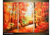 Acryl Schilderij Natuur | Rood, Oranje | 120x80cm 3Luik Handgeschilderd