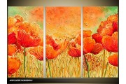 Acryl Schilderij Klaproos | Oranje, Bruin | 120x80cm 3Luik Handgeschilderd