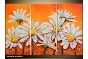 Acryl Schilderij Natuur | Oranje, Wit | 120x80cm 3Luik Handgeschilderd