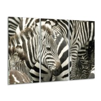 Glas schilderij Zebra | Zwart, Wit, Grijs | 120x80cm 3Luik