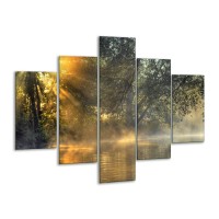 Glas schilderij Natuur | Grijs, Wit | 100x70cm 5Luik