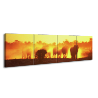 Glas schilderij Olifant | Geel, Oranje, Bruin | 160x40cm 4Luik