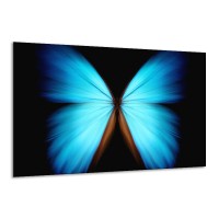 Canvas schilderij Vlinder | Blauw, Zwart | 120x70cm 1Luik