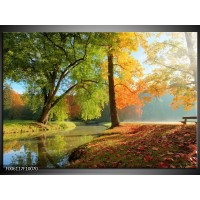 Foto canvas schilderij Herfst | Oranje, Bruin, Groen 