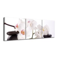 Canvas schilderij Orchidee | Wit, Zwart | 120x40cm 3Luik