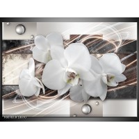 Canvas Schilderij Orchidee, Bloemen | Grijs, Wit